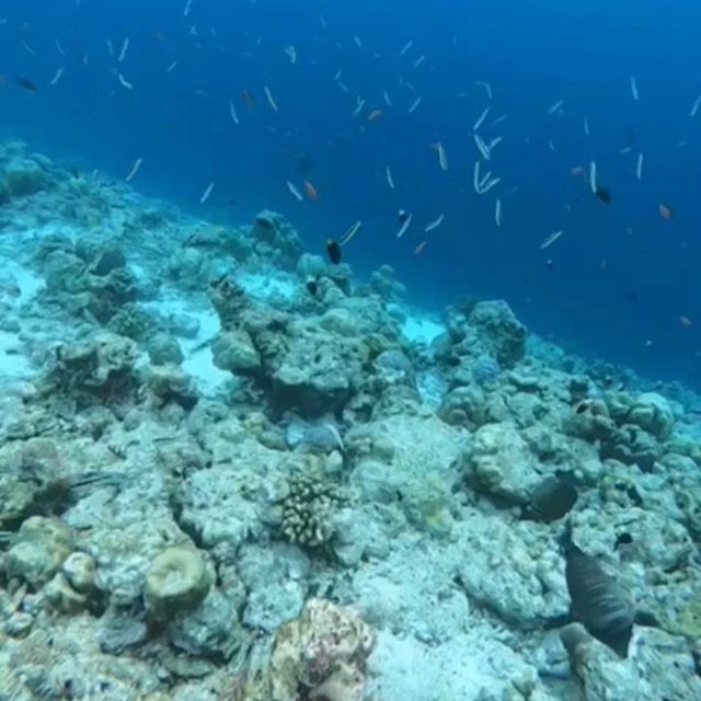 61200855_2003005719822617_7457153676631535696_n.jp 61200855_2003005719822617_7457153676631535696_n.jp