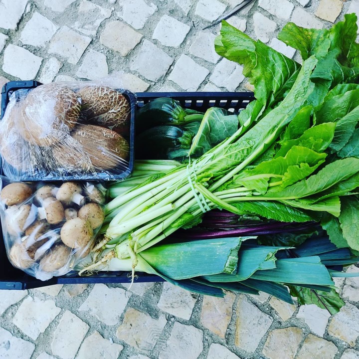 140065898_1928237680649317_3051462623264755316_o.j