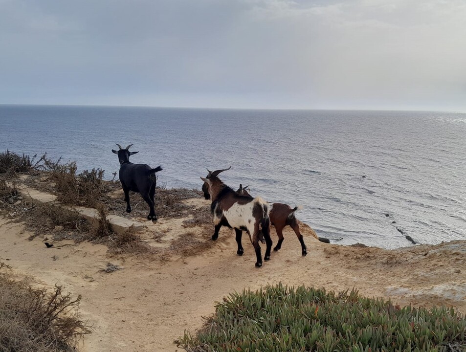 370671293_313570747837375_5294810960271971910_n.jp