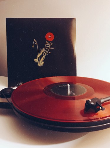 AfterlightImage (9).JPG AfterlightImage (9).JPG