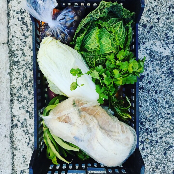 310743655_2428623830610697_3998585152942680805_n.j