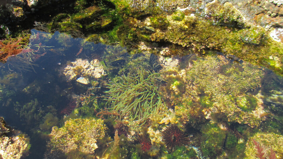 2020-08-09 11.48.39.jpg