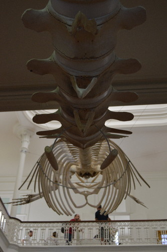 JardimBotanico_julho17 (2).JPG