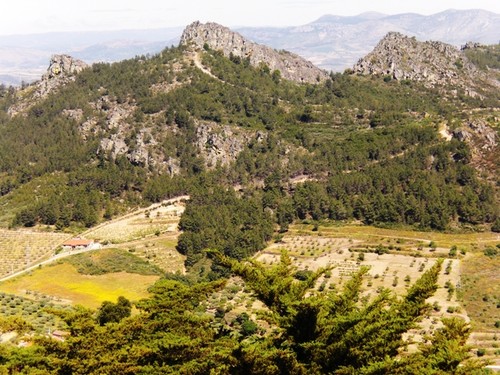 Alfandega da fé 013.jpg