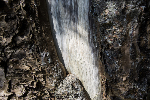 982624.jpg 982624.jpg