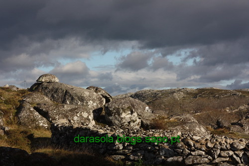 Biodiversidade_Freita_14.JPG Biodiversidade_Freita_14.JPG