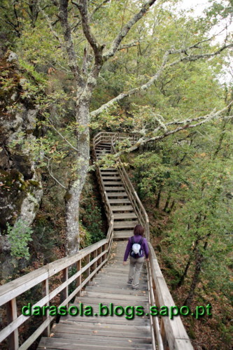 Passarelas_Rio_Mao_28.JPG Passarelas_Rio_Mao_28.JPG