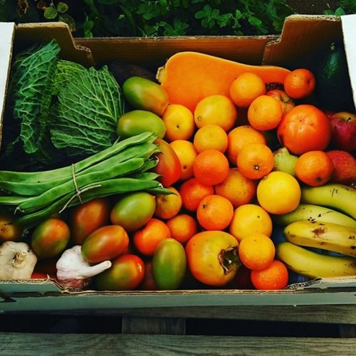 23222434_1441942515922086_5480338412399493120_n.jp