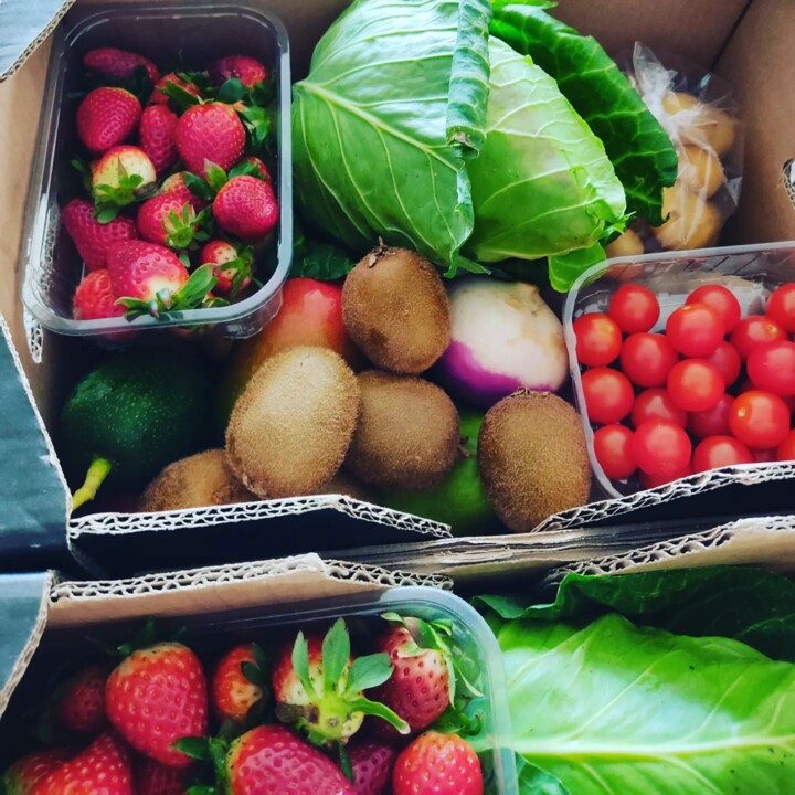 429790491_788505389973540_4462068876339301172_n.jp