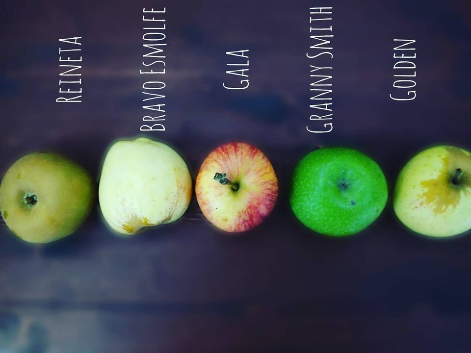 122542359_1852024491603970_8130537034065724576_o.j