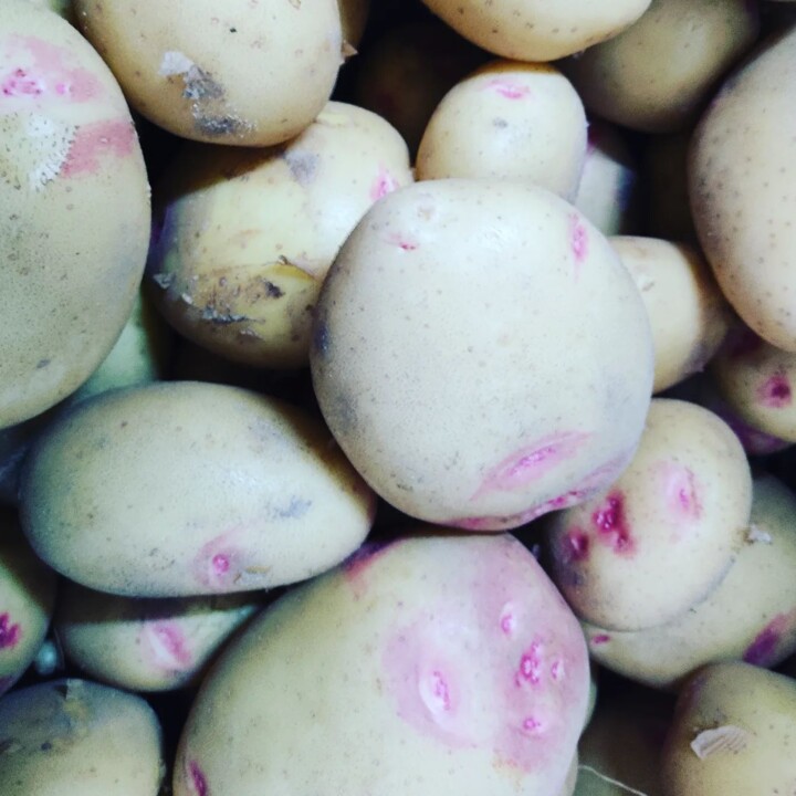 318243815_2483709231768823_6073284975345664487_n.j