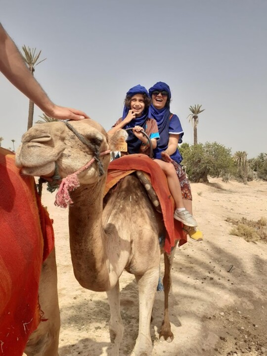 Não me canso disto_camelos1.jpg