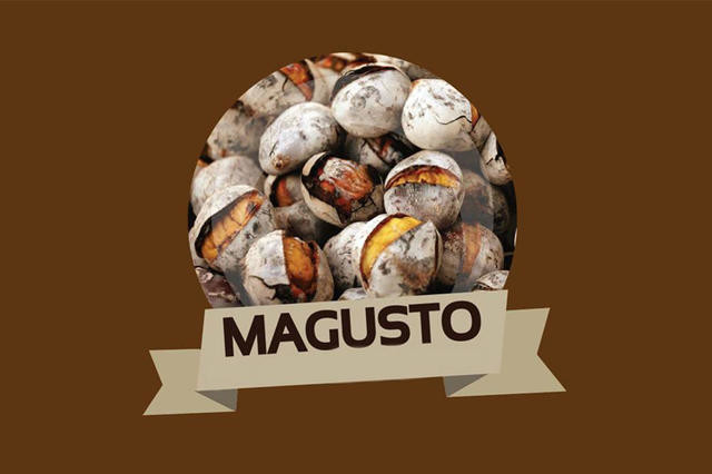 magusto.jpg