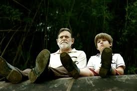 Meu Pé de Laranja Lima filme  in. cinemaville.net