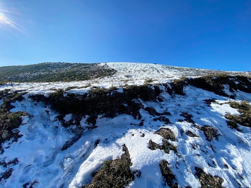 PNPGeresPyrrait (217).jpeg PNPGeresPyrrait (217).jpeg