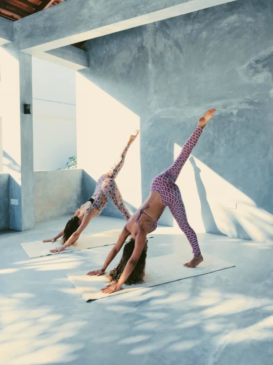 48992749_762649634091511_6184484805791449088_n.jpg 48992749_762649634091511_6184484805791449088_n.jpg