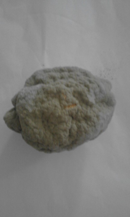 Foto Original. 2020. 04. jpg Foto Original. 2020. 04. jpg