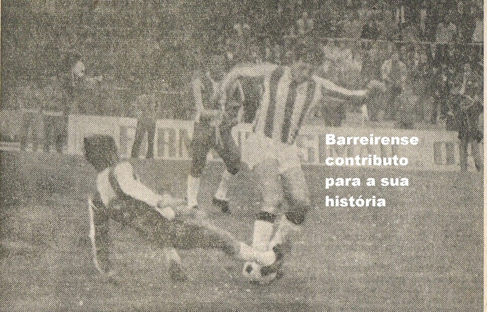 campora e pavão.JPG