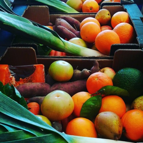 49666915_1283296335143458_7265164359184154624_n.jp