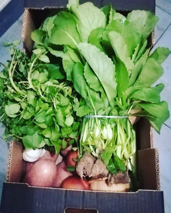 82165325_1590395017766920_7809566423323246592_o.jp 82165325_1590395017766920_7809566423323246592_o.jp