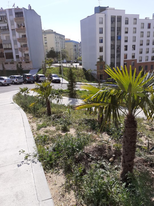 Parque Feijó. Foto Original. 2021. 04. jpg