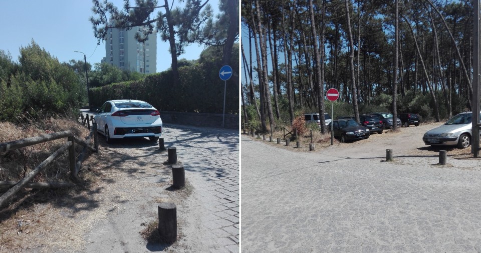 Sem Título.jpg Sem Título.jpg