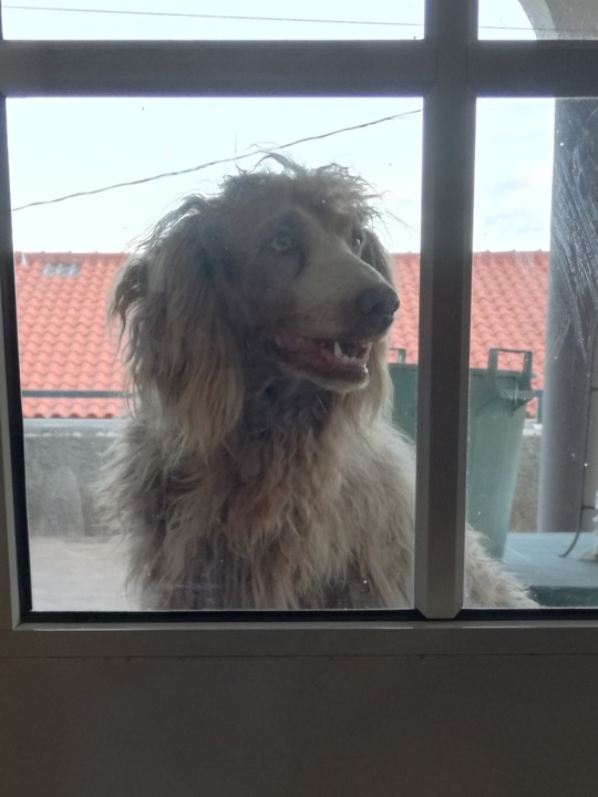 IMG_20190728_203648.jpg IMG_20190728_203648.jpg