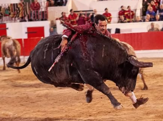 Ant.Cortes Pena Monteiro - 2025.png