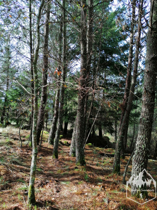 Photo_1582917705732.jpg Photo_1582917705732.jpg