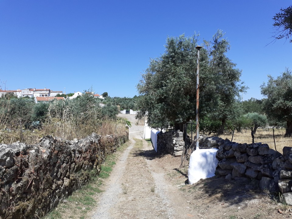 Respiradoiro da água. Foto Original. 2021.07.09.jpg