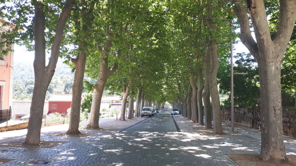 ACESSO BALNEARIO4.jpg