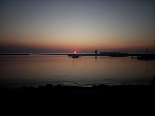 22366632_1468894126529567_9163280659708993513_n.jp