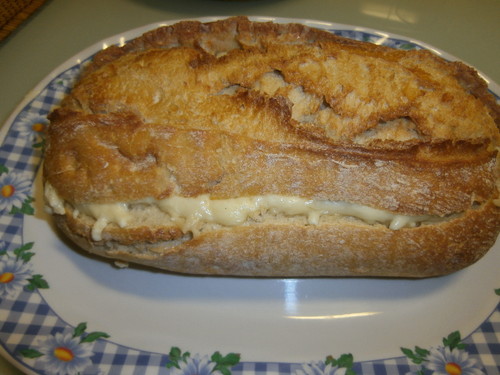 P1230003.JPG P1230003.JPG