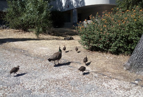 IMG_20160701_164526 (2).jpg