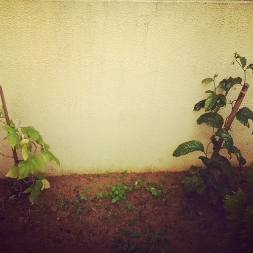 26731705_1022416324564795_6775273193846437313_n.jp