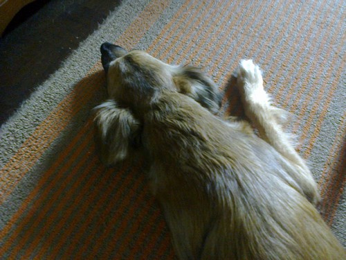 meia migas esticada.jpg