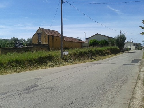 Valongo limpeza berma Lanheses.jpg