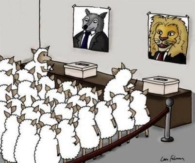 Sheep-On-Voting-For-a-Lion-Or-a-Wolf-On-Election-D