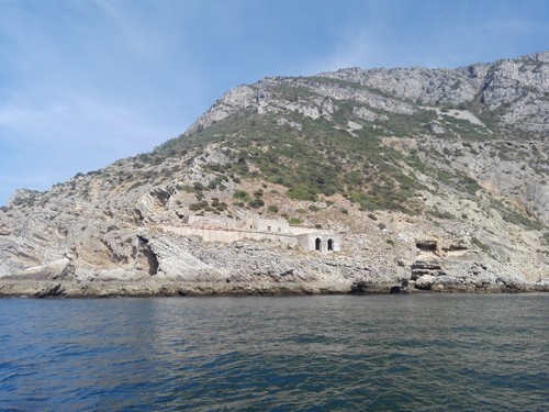 IMG_20170823_110716.jpg IMG_20170823_110716.jpg