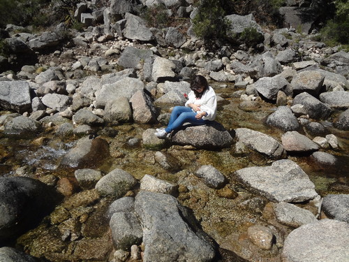 DSC03267.JPG DSC03267.JPG