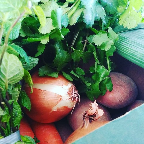 16603138_841899279283168_8901220046739100477_n.jpg 16603138_841899279283168_8901220046739100477_n.jpg