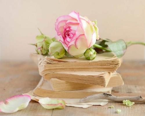 Ternura dos sessenta.jpg