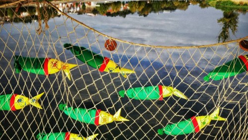 22405617_10155069854106313_3409086741099009619_n.j