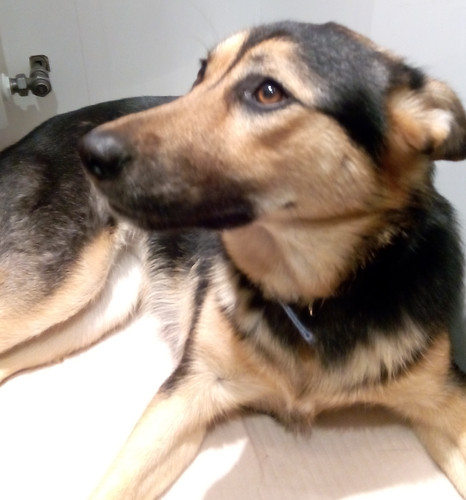 IMG_20160224_194603.jpg IMG_20160224_194603.jpg