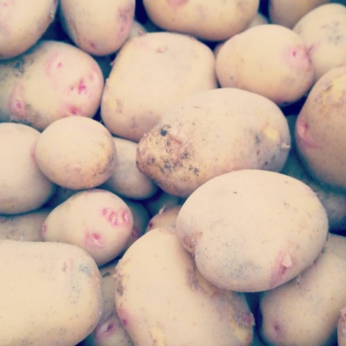 32752111_1097674730372287_7385728824236834816_n.jp 32752111_1097674730372287_7385728824236834816_n.jp