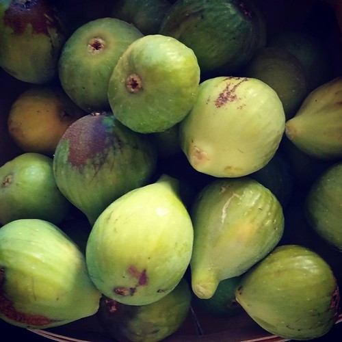 21761646_964211923718569_5014513375492915783_n.jpg 21761646_964211923718569_5014513375492915783_n.jpg