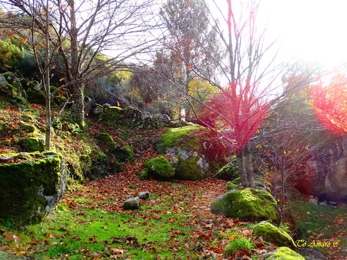 Fotos de Outono !!! 069.jpg