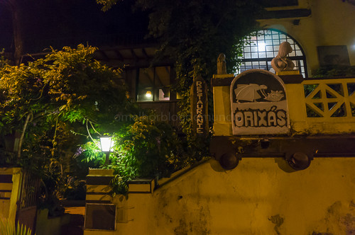 _DSC7253.jpg _DSC7253.jpg