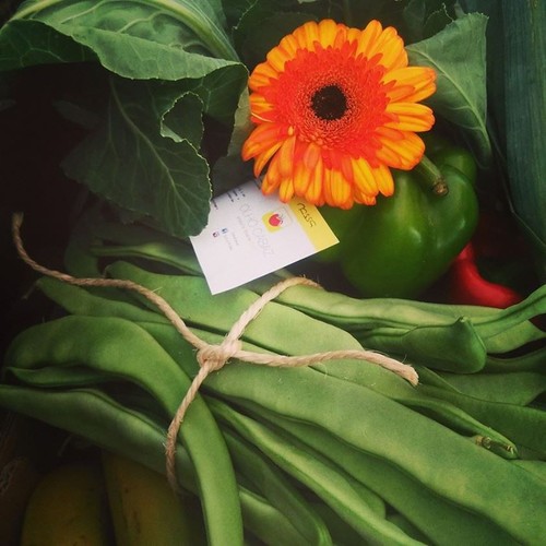 11760228_592694477536984_8594682659589007079_n.jpg 11760228_592694477536984_8594682659589007079_n.jpg