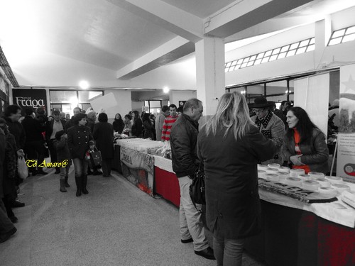 Feira do Queijo Em Seia !!! 169.jpg